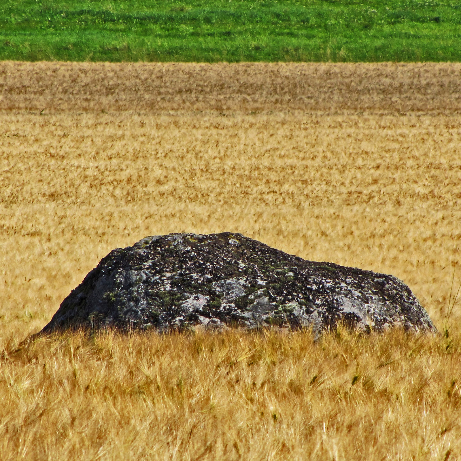 Fotografie 11 aus der Rubrik Augenblicke