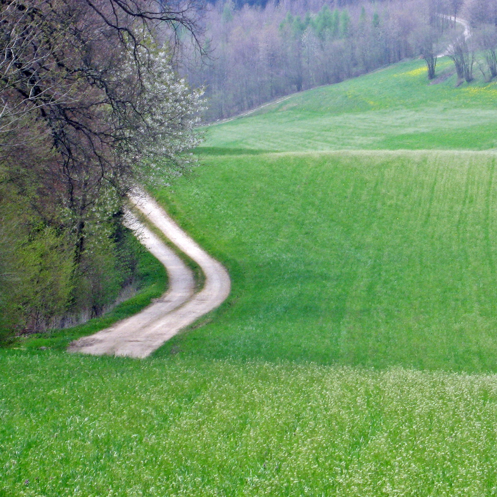 Fotografie 13 aus der Rubrik Augenblicke