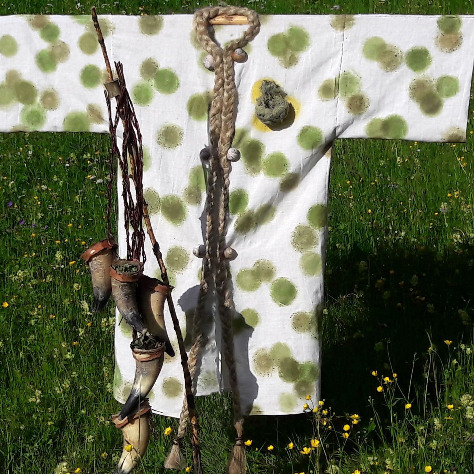 Frühlingserwachen