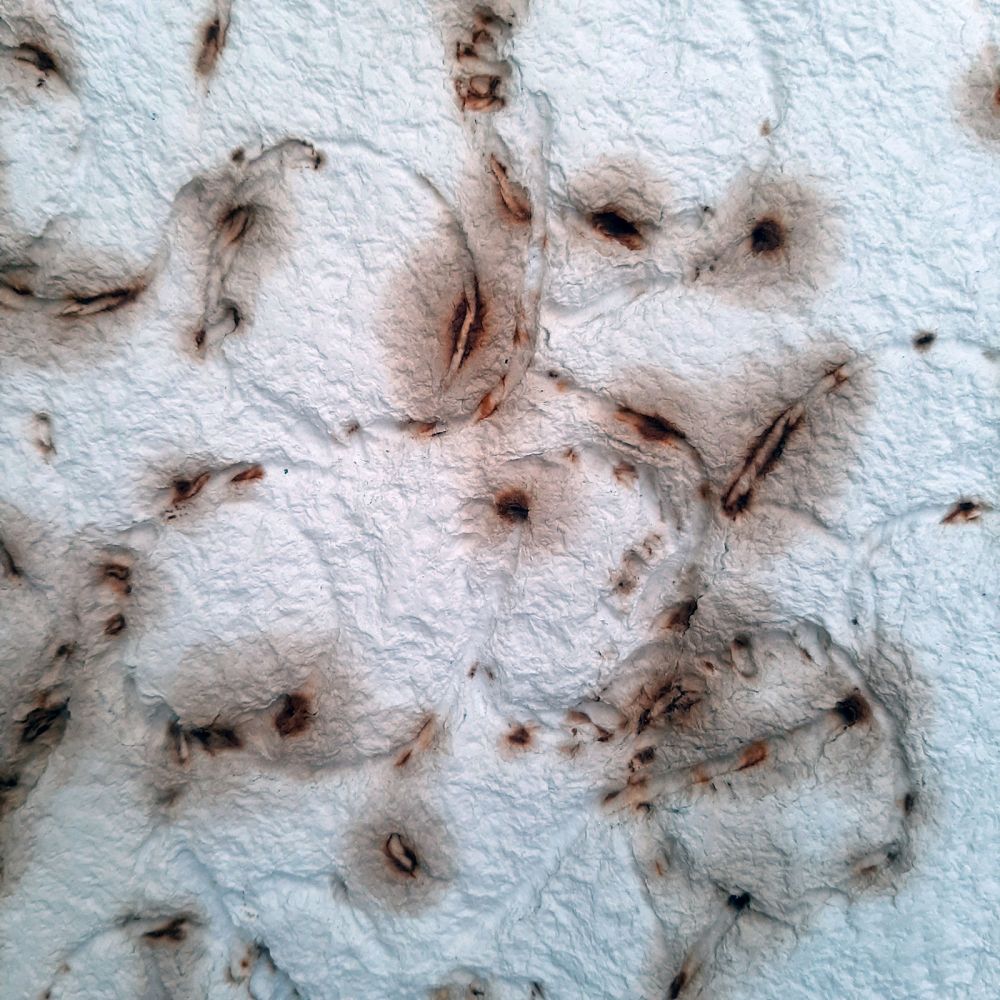 Ein- und Abdrücke von rostigem Draht 3